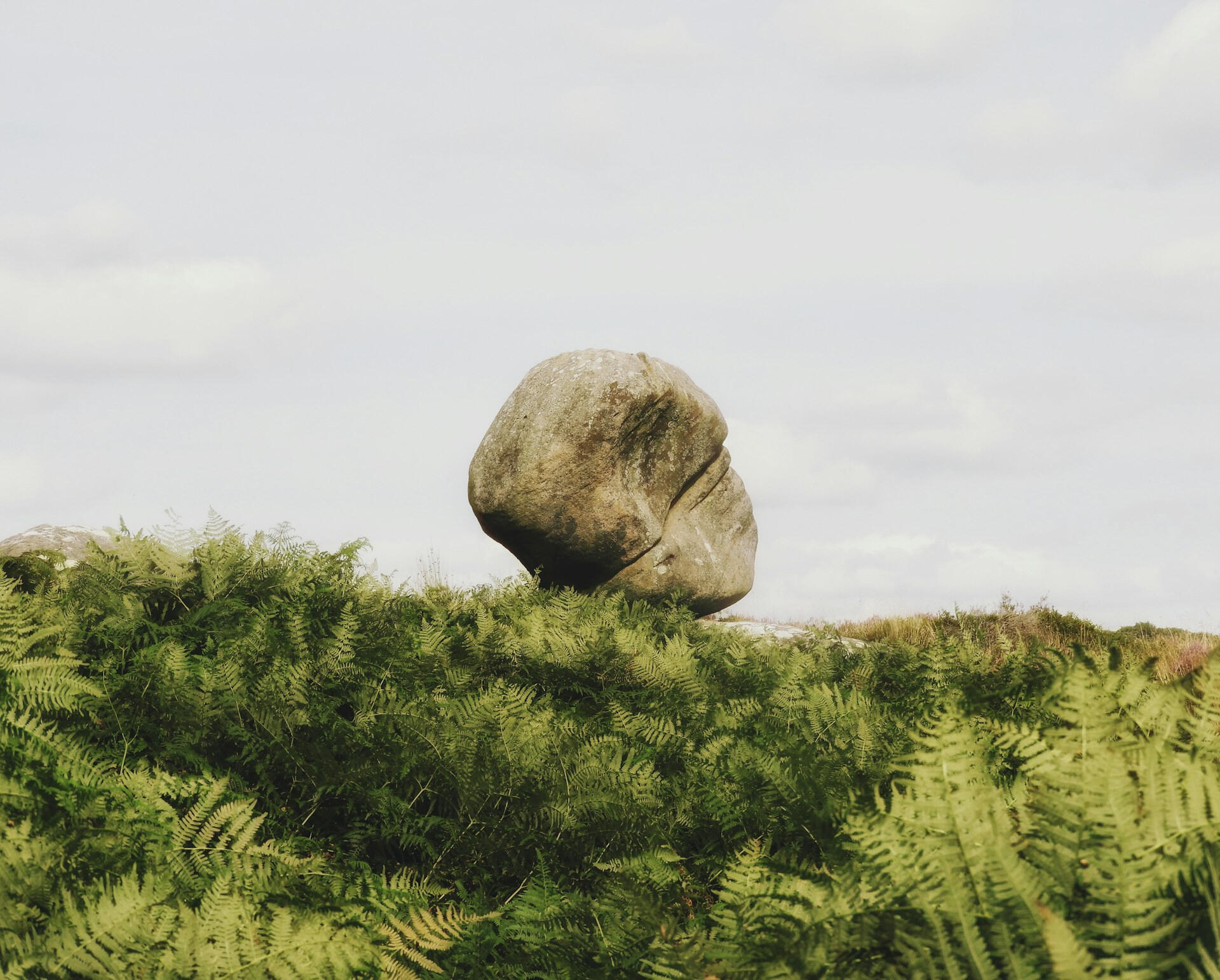 Grey rock on green grass field